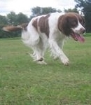 click for a larger view